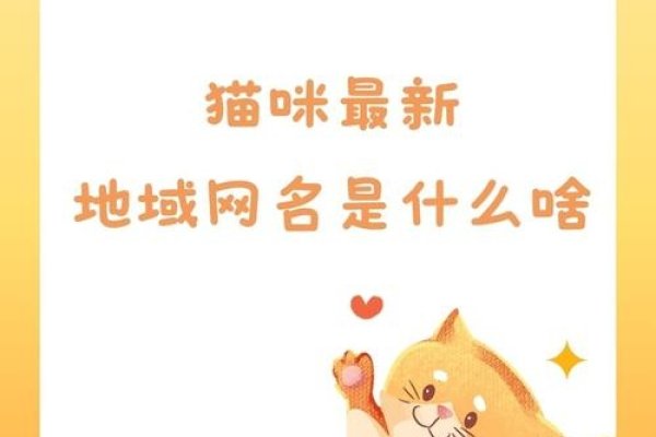 求猫咪最新地域网名，时尚与个性的完美结合-百挑一