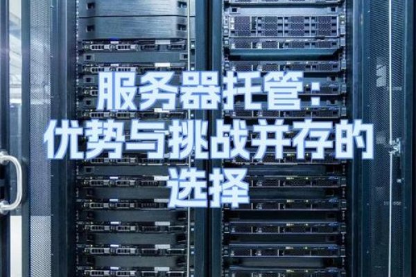 企业服务器托管的利与弊-百挑一