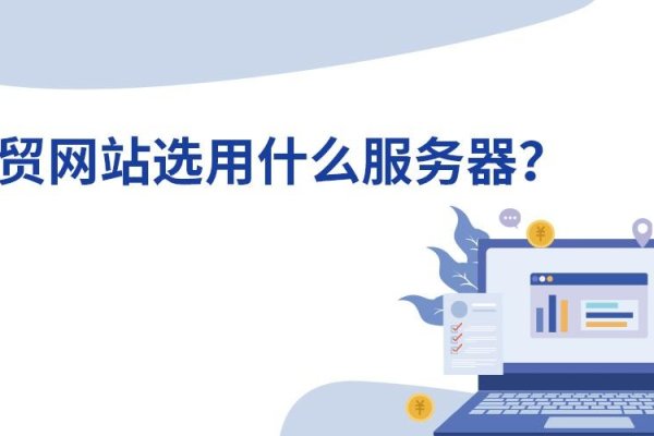 企业外贸网站服务器选择指南，选型、托管与策略建议-百挑一