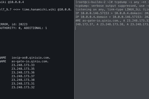如何查看网站的DNS-百挑一