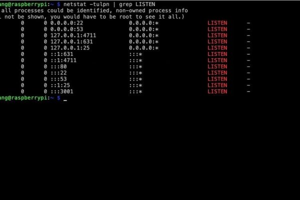 如何查看Linux系统中的端口占用情况-百挑一