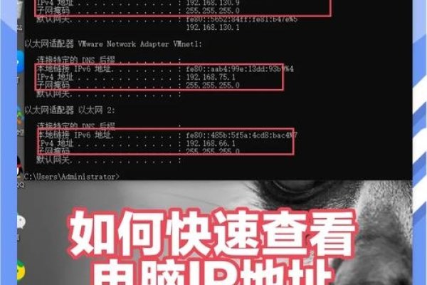 如何查询他人的IP地址-百挑一