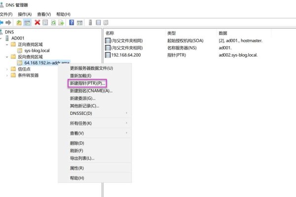 如何使用域名在Windows系统中进行查询-百挑一