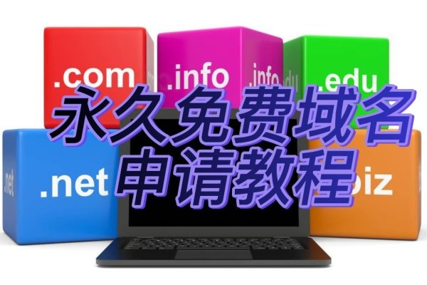 如何申请免费域名—初学者指南-百挑一