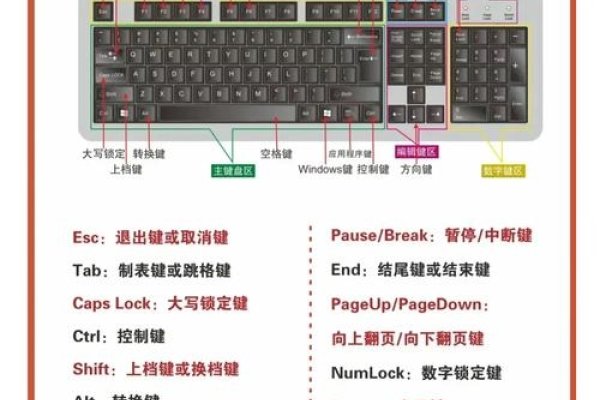 如何用电脑编程，入门与进阶-百挑一