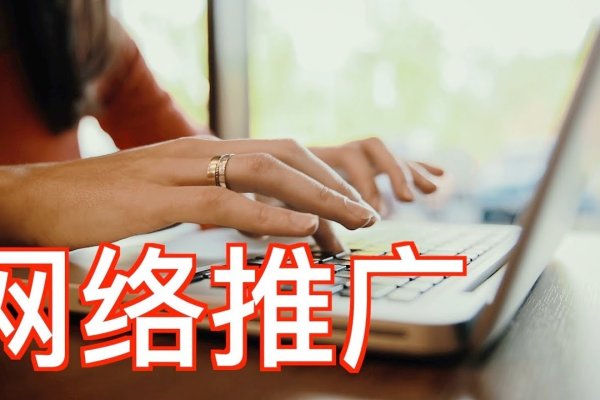 社会电商网络营销赚钱法-百挑一