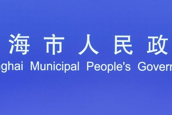 上海人民政府的网站内容详解-百挑一
