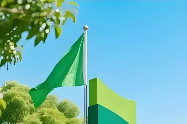 三河网站建设案例解析-百挑一