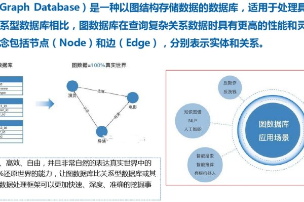 数据库的介绍-百挑一