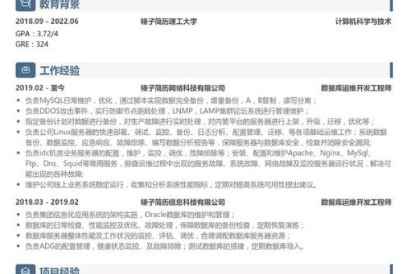 数据库工程师简历，专业技能与经验的深度展示-百挑一