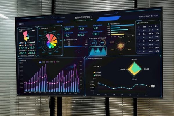 数据库数据可视化，开启数据洞察的新时代-百挑一