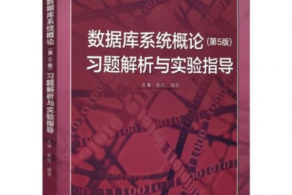 数据库系统概论第五版—王珊教授的独特视角与深度解析-百挑一