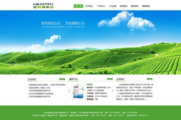 设计坞官方网站，创意与设计的交汇点-百挑一