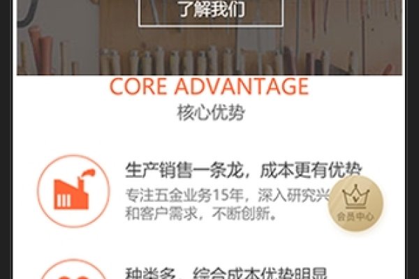 手机H5建站，快速构建移动时代的企业门户-百挑一