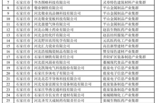 石家庄app开发公司排名及行业概览-百挑一