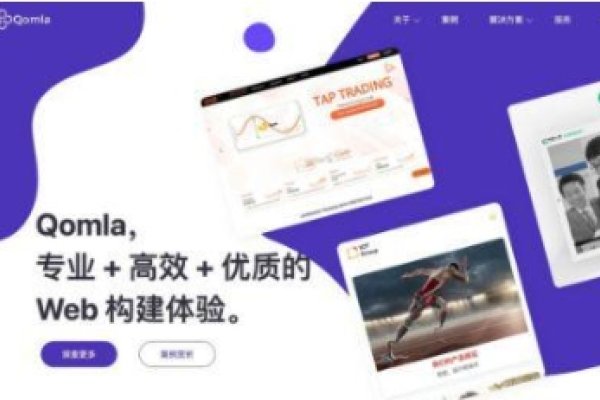 石家庄专业建站公司深度解析，实力、评价与业务范畴-百挑一