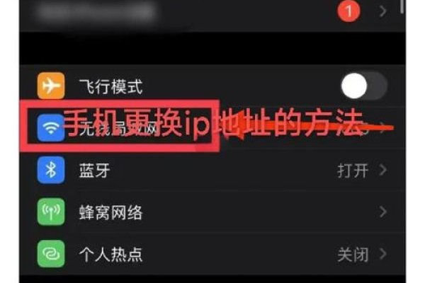 手机一键换IP地址，便捷与安全的网络新体验-百挑一