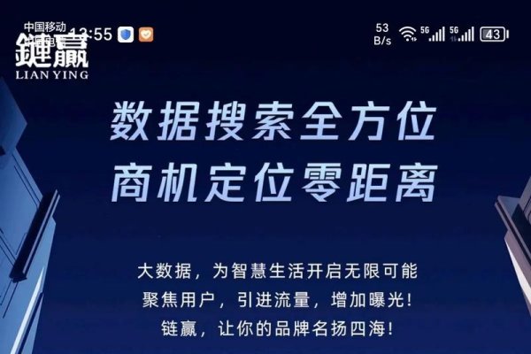 手机在线做APP，引领数字化新时代的创新之选-百挑一