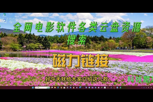 神木资源网官网—探索无尽资源的新天地-百挑一