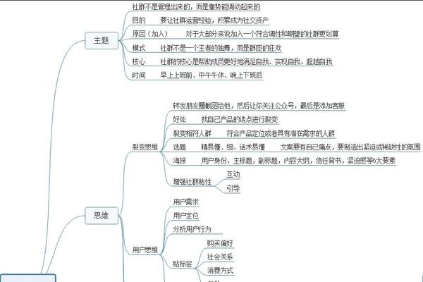 社群运营活动方案，打造高效互动与增长引擎-百挑一