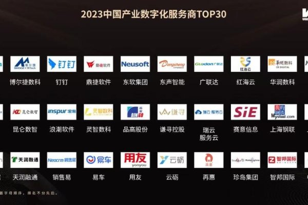 数商云，企业数字化运营的领先服务商-百挑一