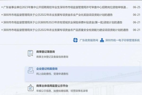 商事主体登记及备案信息查询，便捷高效的企业信息查询系统-百挑一