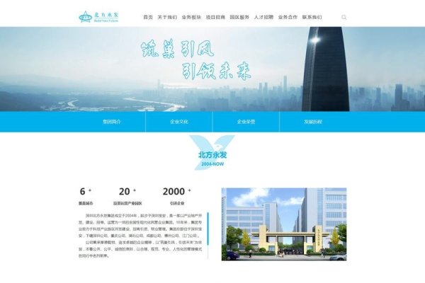 深圳个性化网站建设方案案例-百挑一
