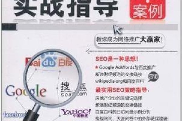 视频网站SEO实战指南-百挑一