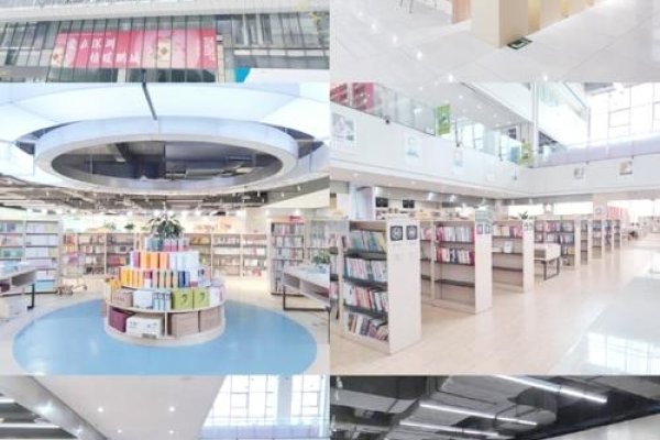 深圳小说网站建设,打造文学爱好者的聚集地-百挑一