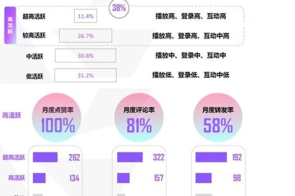 视频软件开发市场细分分析-百挑一