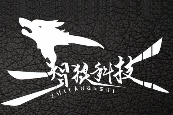 山西智苒网络科技有限公司，引领科技创新，铸就网络新纪元-百挑一