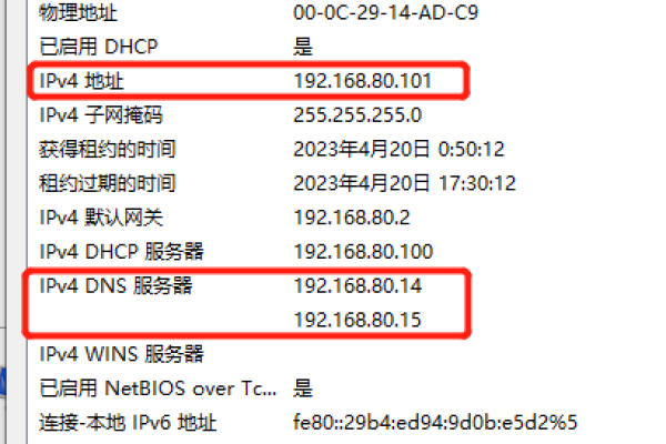 首选DNS是什么，解析域名的新视角-百挑一