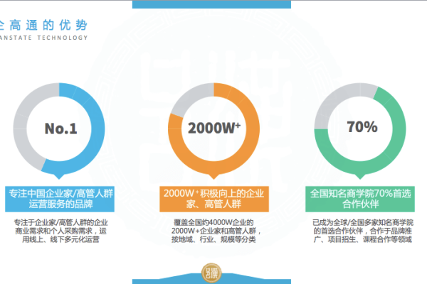 随州SEO服务,打造优质数字营销,助力企业腾飞-百挑一