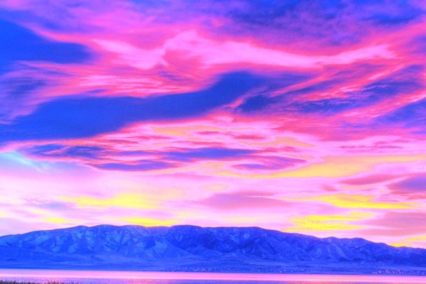 图片直播软件的选择与应用-百挑一