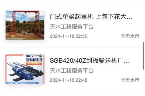 天水网站制作，打造高效、专业的网络平台-百挑一