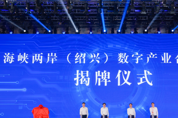 台湾服务器，连接海峡两岸的数字桥梁-百挑一