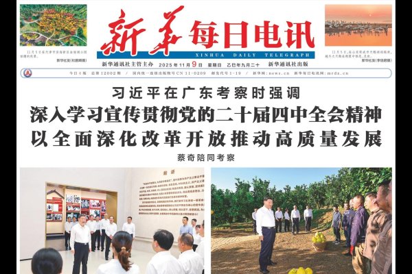 天津网站设计的新篇章，成功柚米的创新之路-百挑一