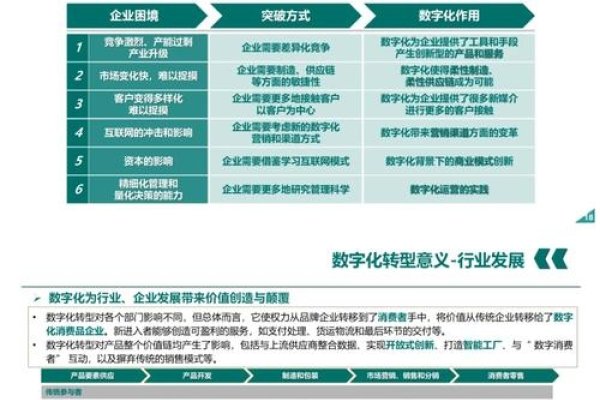 推荐网站建设公司，专业团队助力企业数字化转型的合作伙伴选择，或者简化为，如何选择专业的网站建设公司以推动企业的数字化进程？-百挑一