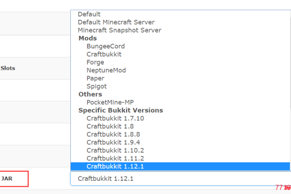 我的世界VPS服务器搭建指南-百挑一