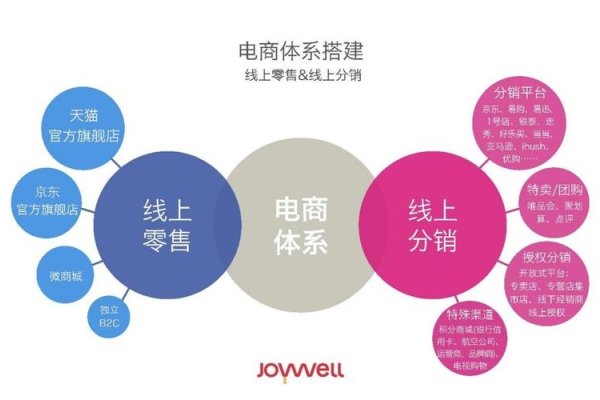 网店运营商，电子商务时代的商业先锋-百挑一