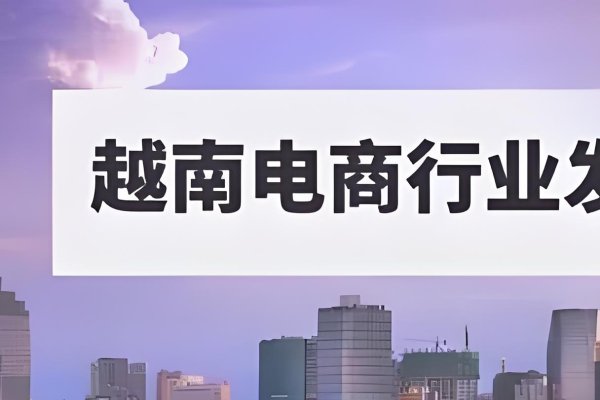 五大主流跨境电商进口平台概览-百挑一