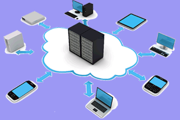 外国虚拟主机服务商的发展与影响-百挑一