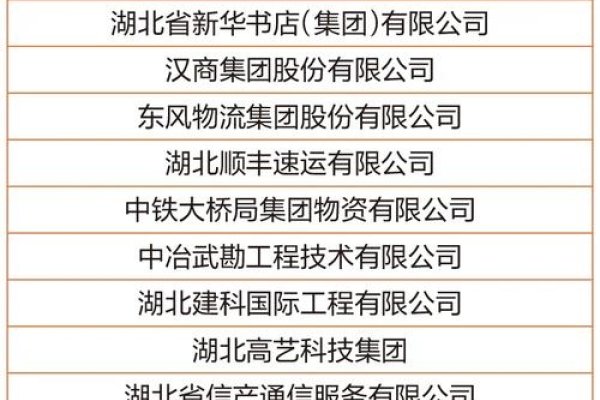 武汉网站设计公司哪家强?专业策划与设计的公司榜单解析。-百挑一