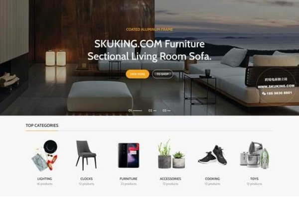 外贸网站建设哪家强？海洋建站、Shopify等领先企业深度解析。-百挑一