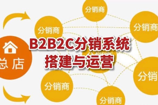 网上分销平台，重塑电商销售模式的强大力量-百挑一