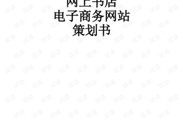 网上书城网站策划书-百挑一