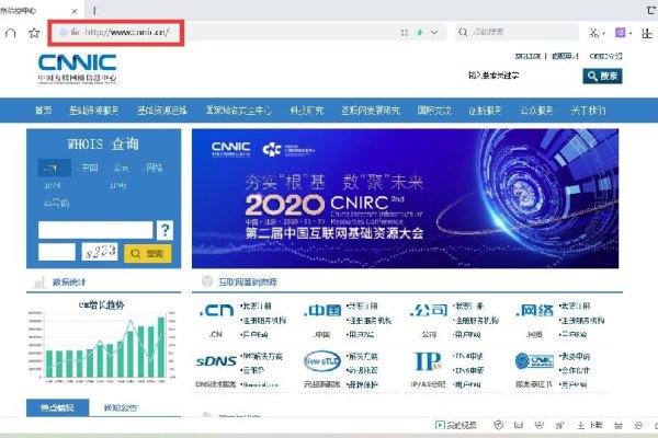 为什么选择.NET域名？-百挑一