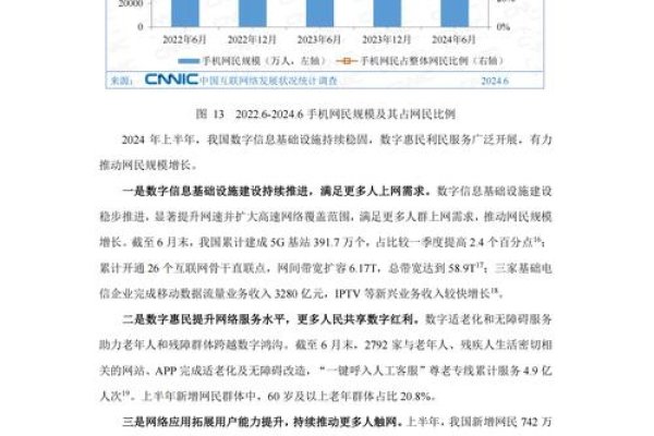 网推公司现状概览，专业优势、行业评价与发展趋势-百挑一