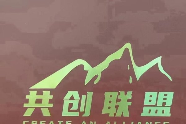 万网阿里合作共创未来-百挑一