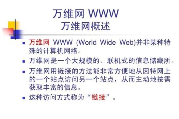 万维网入口，www定义与功能-百挑一